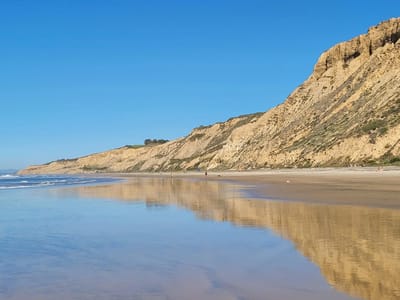 San Diego: Black's Beach
