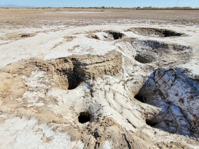 Salton Sea Area: Niland Geyser Field