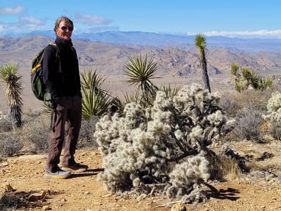 Joshua Tree National Park: Atop Ryan Mountain