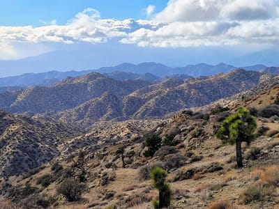 Joshua Tree National Park: View from Eureka Peak