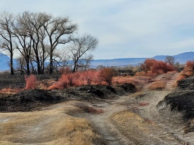 Bishop: Burn area from the Bishop Airport fire