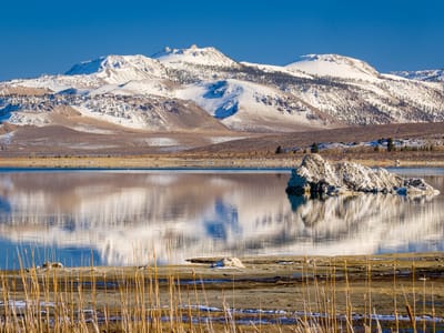 Bishop: Mono Lake