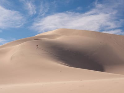 Death Valley: Lolo heading up the steep ridge of the Panamint Sand Dunes