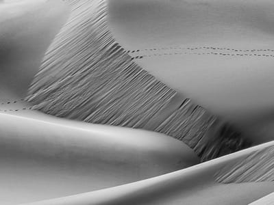 Death Valley: Eureka Dunes
