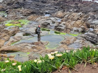 Pescadero: Tide Pools along the Arroyo de los Frijoles Trail