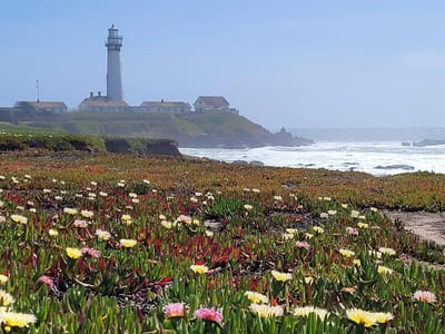Pescadero: Pigeon Point Lighthouse
