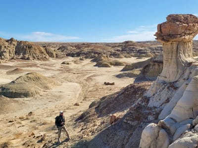 Bisti Badlands: North Bisti Badlands