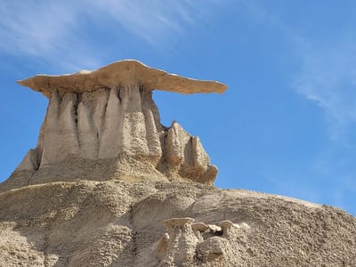 Bisti Badlands: Manta Ray