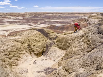 Bisti Badlands: In Search of the King of Wings