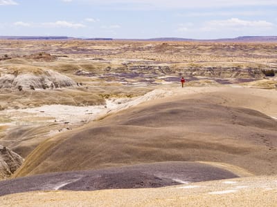 Bisti Badlands: Along the way to the King of Wings