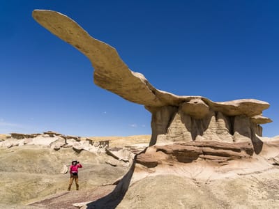Bisti Badlands: King of Wings