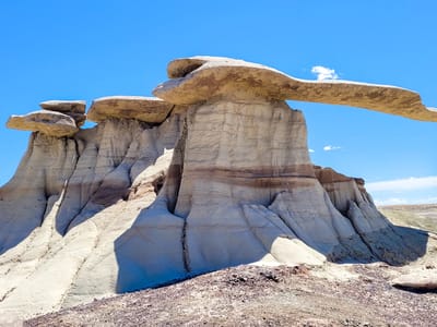 Bisti Badlands: King of Wings