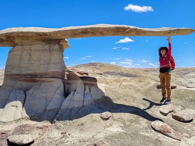 Bisti Badlands: King of Wings