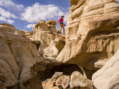 Bisti Badlands: And even some petrified wood