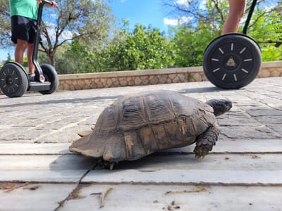 Athens: Slow traffic along the Acropolis Loop