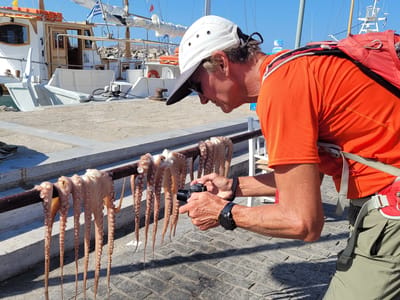 Paros: Fresh caught octopus