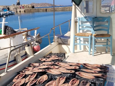 Paros: Catch of the day