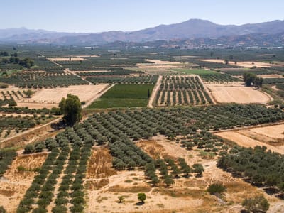 Crete: Messara Plain near Phaistos