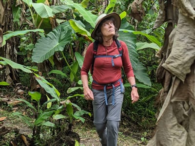 Andean Cloud Forest: Lolo of the Cloud Forest
