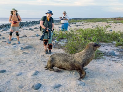 Galapagos - North Seymour Island: Making friends with a friendly fur seal