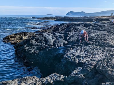 Galapagos - Santiago Island: Rocky volcanic shoreline