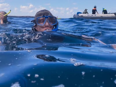 Galapagos - Santiago Island: Snorkeling time!