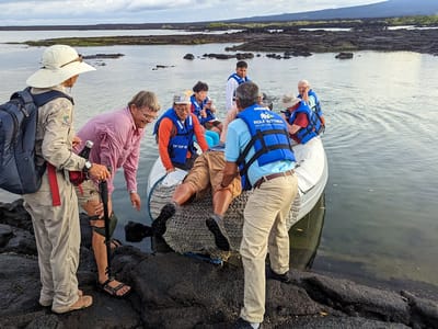 Galapagos - Isabela and Fernandina Islands: Less than elegant entry onto panga