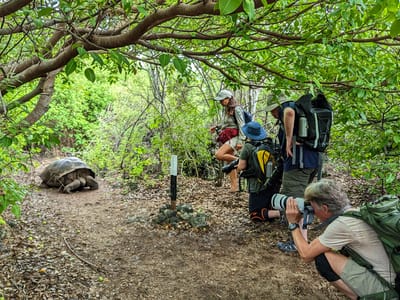 Galapagos - Isabela Island (Day 3): Our first Galapagos Giant Tortoise