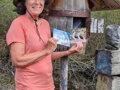 Floreana Island: Floreana's historic \"Post Office\"