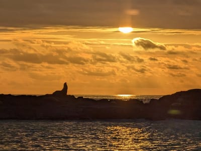 Floreana Island: End of another incredible day