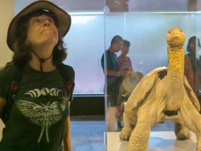 Santa Cruz Island: Lolo and Lonesome George