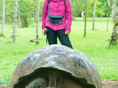 Santa Cruz Island: Rancho Primicias Giant Tortoise Reserve