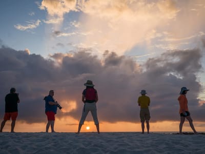 Mosquera Island: Here comes the sun