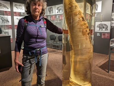 Reykjavik: Lolo enjoying the Phallological Museum