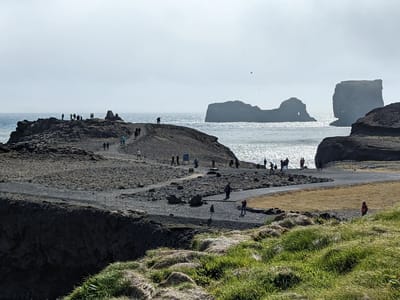 Vik - Dyrhólaey and Reynisfjara Black Sand Beach: Dyrhólaey promontory