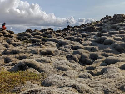 Eldhraun Lava Fields: Eldhraun Lava Field