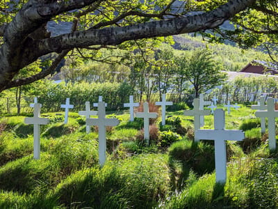 Hofskirkja: Hofskirkja cemetery