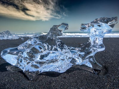 Jökulsárlón Glacier Lagoon and Diamond Beach: Dog or Fish?