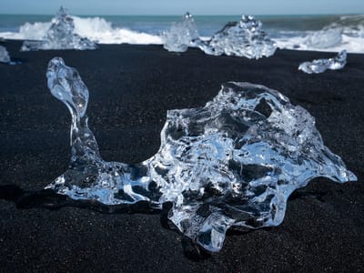 Jökulsárlón Glacier Lagoon and Diamond Beach: Turtle?