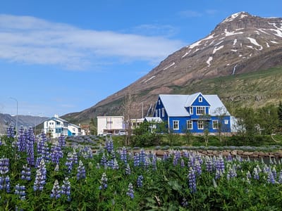 Seydisfjordur: Seydisfjordur