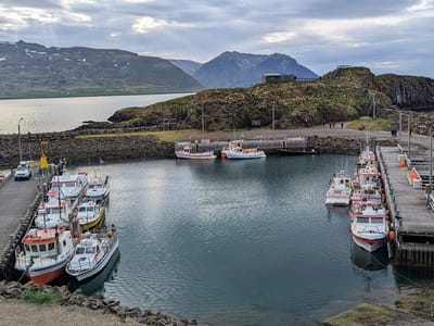 Borgarfjörður eystri: Marina with puffin colony behind
