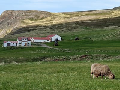 Borgarfjörður eystri: Along the way to the puffins colony