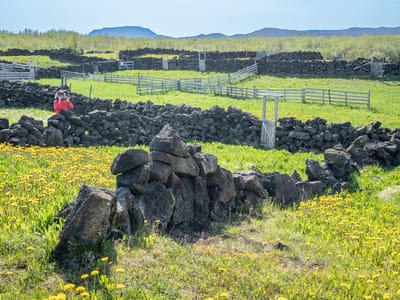 Lake Mývatn Geothermal Area: An 1880s Sheepfold
