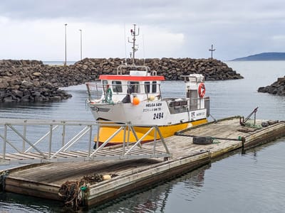 Búðardalur: Búðardalur Harbor