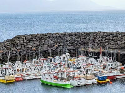 Snæfellsnes Peninsula - Arnastapi: Arnastarpi Natural Harbor
