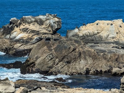 Salt Point State Park: Salt Point State Park