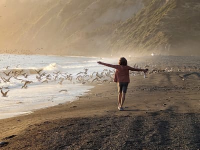 The Lost Coast: Usal Beach