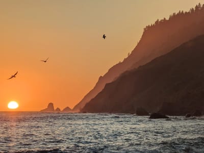 The Lost Coast: Usal Beach