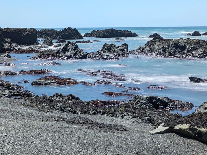 Along the Lost Coast