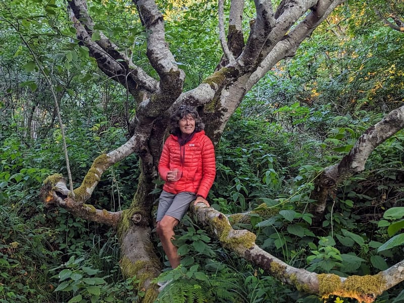 My secret world in Mattole Campground